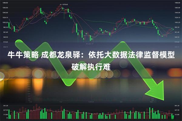 牛牛策略 成都龙泉驿：依托大数据法律监督模型破解执行难