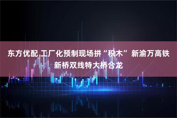 东方优配 工厂化预制现场拼“积木” 新渝万高铁新桥双线特大桥合龙