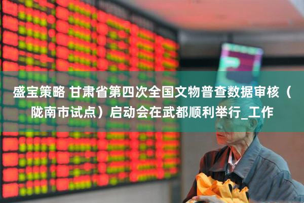 盛宝策略 甘肃省第四次全国文物普查数据审核（陇南市试点）启动会在武都顺利举行_工作