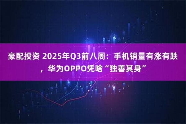 豪配投资 2025年Q3前八周：手机销量有涨有跌，华为OPPO凭啥“独善其身”