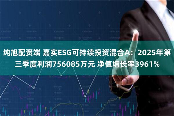 纯旭配资端 嘉实ESG可持续投资混合A：2025年第三季度利润756085万元 净值增长率3961%